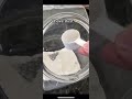 Chinchilla Dust Magic #shorts