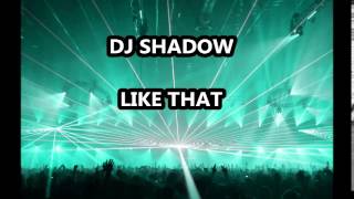 DJ Shadow-Like That