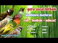 LANGSUNG MONCER MENYALA Masteran Kombinasi Tembakan Kasar Untuk Semua Burung Murai Batu Cucak Ijo