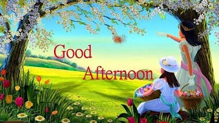 Good afternoon😍good afternoon status😍good afternoon whatsApp status😍good afternoon status video