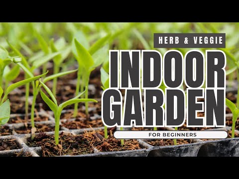 Indoor Gardening Setup for Beginners 🌱 | Starting An Indoor Herb & Vegetable Garden