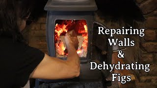 Repairing Walls & Dehydrating Figs