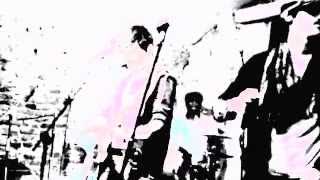 Palco Numero Cinque Narciso