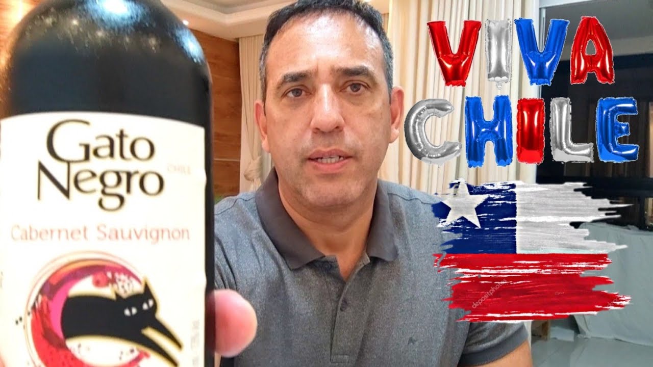 Vinho 🍷 chileno 🇨🇱 Gato Negro.
