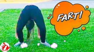 Unexpected And Embarrassing Farts and Funny Fails Moments : Funny Videos 2021 - Funny Pets Moments