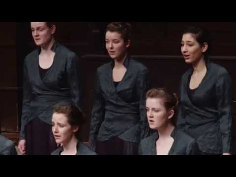 Ave Maria - David Macintyre