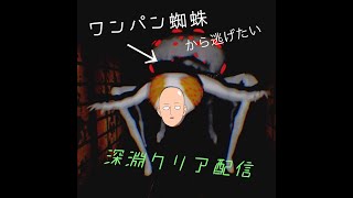 【影廊-Shadow Corridow-】-挑戦者編-蜘蛛はキモいし怖すぎる。
