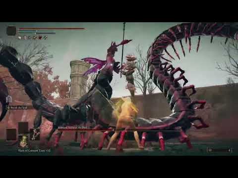 Remembrance of Decay 4 Romina- Elden Ring Convergence Servannt Of Rot Challenge 2