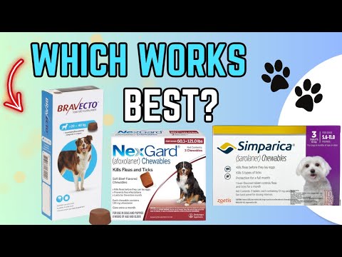 Bravecto vs NexGard vs Simparica (2025) Which Flea & Tick Chew is Best for Dogs?