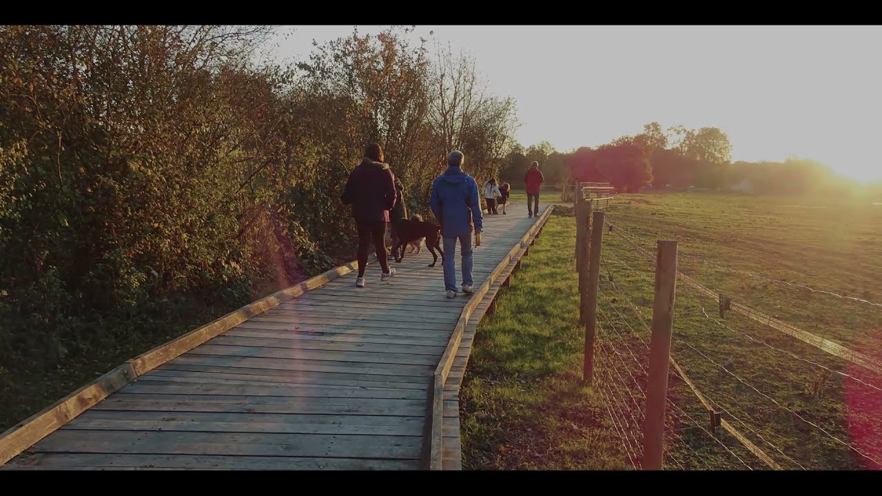 Renaturation des berges de l'Yerres - Villeneuve-Saint-Georges (94)