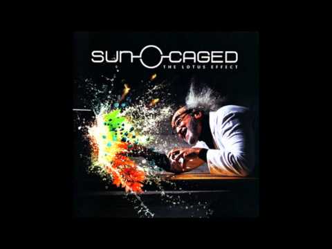 Sun Caged - Moebius Knot