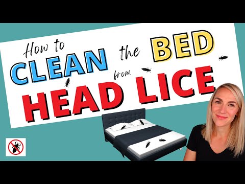 How to Clean Your Bed From Lice