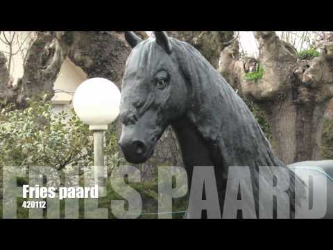 Fries paard ter decoratie