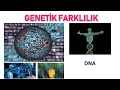 8. Sınıf  Fen ve Teknoloji Dersi  DNA ve Genetik Kod 2019-2020 8. SINIF FEN BİLİMLERİ 2. ÜNİTE KONU ANLATIMI DNA ve Genetik Kod Konu anlatımı ve çıkmış sorular ve çözümleri ... konu anlatım videosunu izle