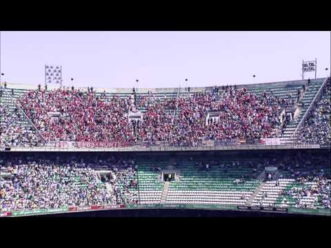 Limited edition: Real Bets (0-2) Sevilla FC - HD