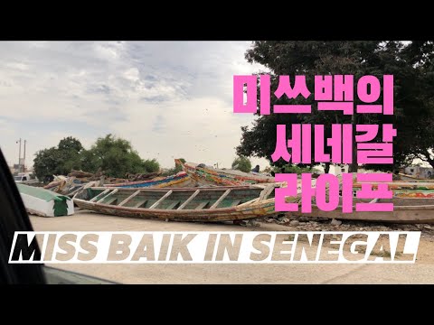My first vlog in Senegal / 첫번째 세네갈 브이로그