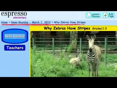 Espresso Elementary - Teacher's Support
