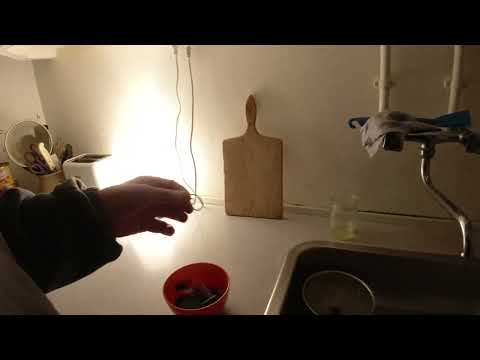 MongoTV_10598 - SPISER EN TIL SKÅL SLIK SØNDAG AFTEN