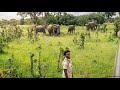 Irl Safari Stream In Okavango Delta Botswana