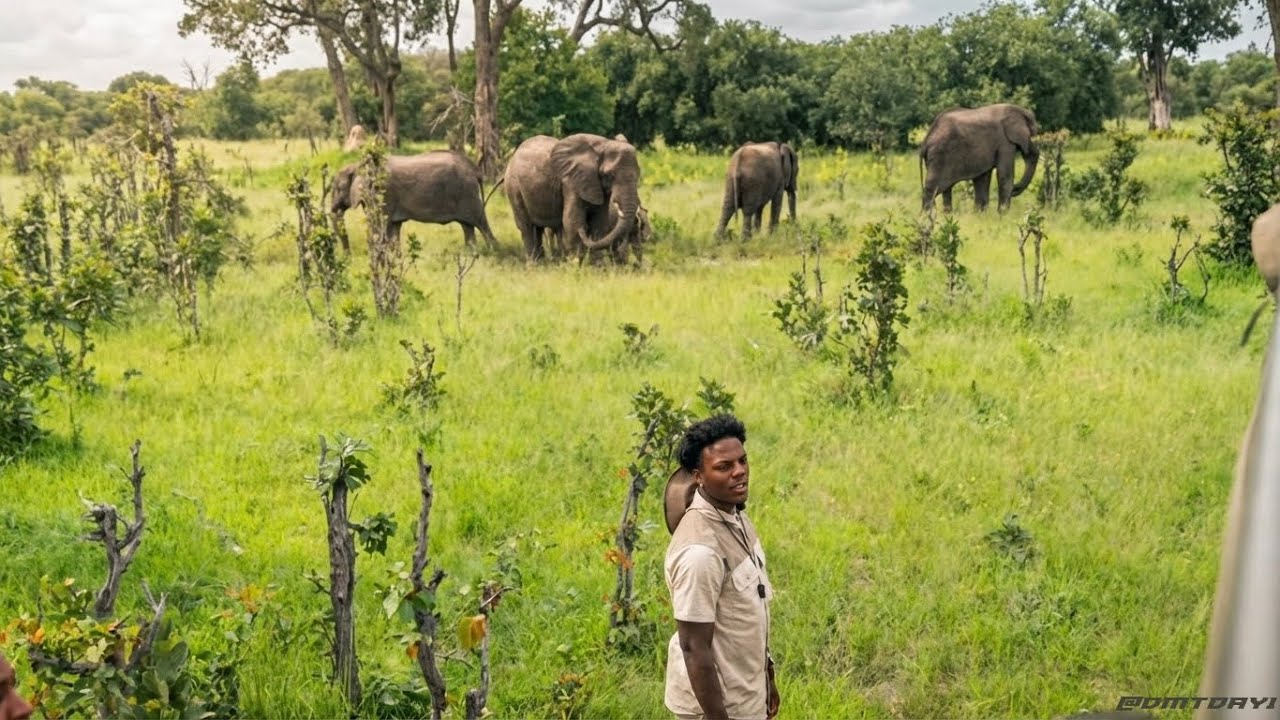 irl Safari stream in Okavango Delta🐘🦒🦁(Botswana)