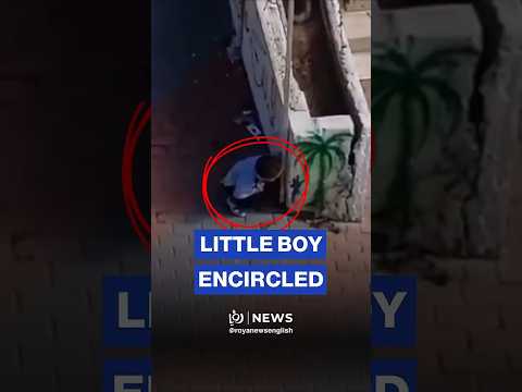 'Israeli’ forces encircle boy outside his home in Hebron