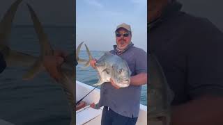 Hôtel Kasa Afrikana