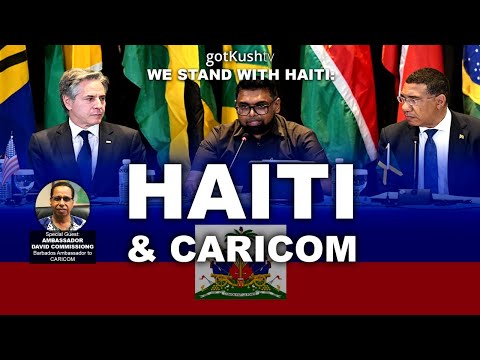 HAITI & CARICOM • w/ David Commissiong +more • We Stand With Ayiti pt 3