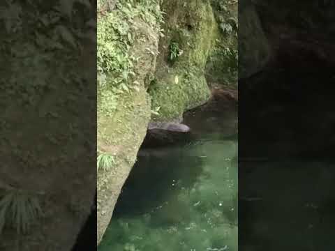 rio de piamonte cauca
