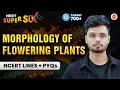 Morphology of Flowering Plants🌱 | NCERT Lines + PYQ's Solving | NEET 2024 Biology | Basavaraj Sir