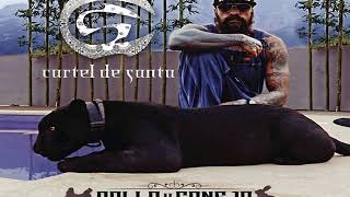 Cartel de Santa Pollo y Conejo (Single 2018) (Link Para Descargar)