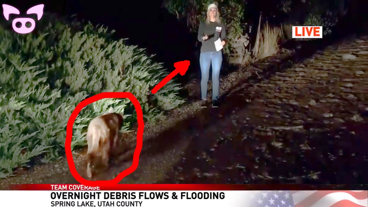 These Creepy Videos Will Make You Sick