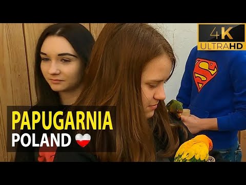 Parrot House in Katowice 🇵🇱 Poland | 4K
