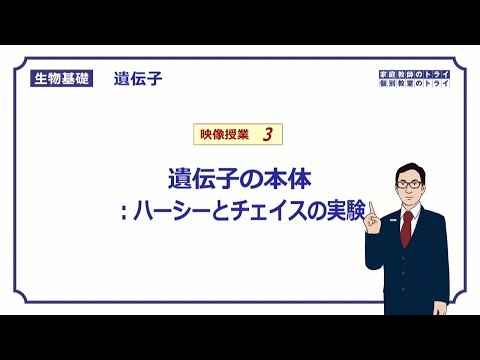 ファエオシスティスについて詳しく解説