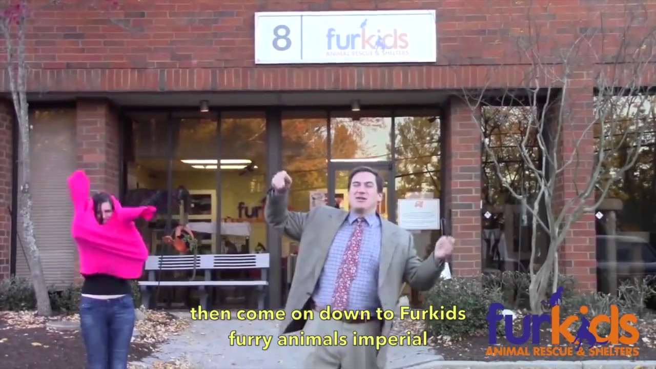 This low-budget commercial will make you want to adopt a cat right meow! (By Furkids Animal Rescue a