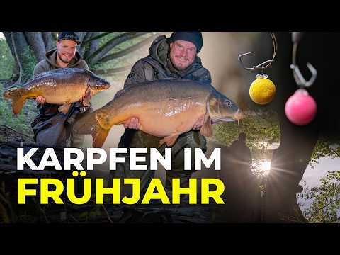 Karpfenangeln im Frühjahr mit Philipp Woywode | Karpfen im März, April, Mai | anfüttern | fangen