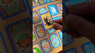 Hungry Monkey video thumbnail