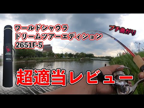 ワールドシャウラ ドリームツアーエディション2651F-5を購入！超適当なレビュー