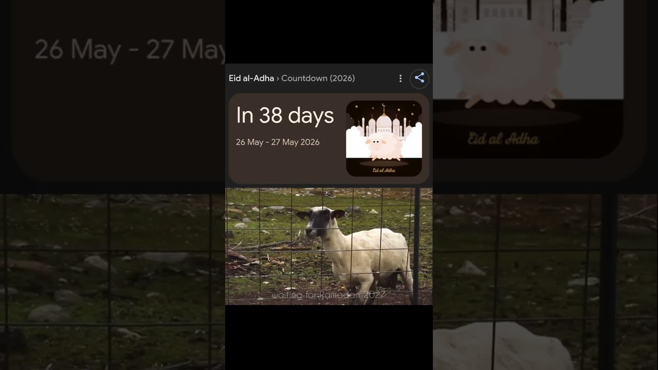 Eid Ul Adha 2026 Coming Soon 🐐✨ | Bakra Eid Status | Islamic Shorts #shorts #eiduladha #bakraeid