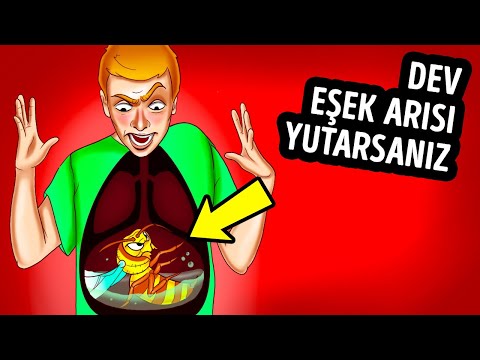 , title : 'Bir Eşek Arısını Yutarsanız ve Sizi Sokarsa Ne Olur'