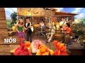 Nós Show No Paiol Hélio Ziskind E A Turma Do Cocoricó