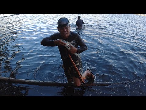 SE02EP118 Part 1 - DUONG ng Mga NAG LALAKIHANG BANGUS sa SAMPALOC Lake PINAGKAGULUHAN