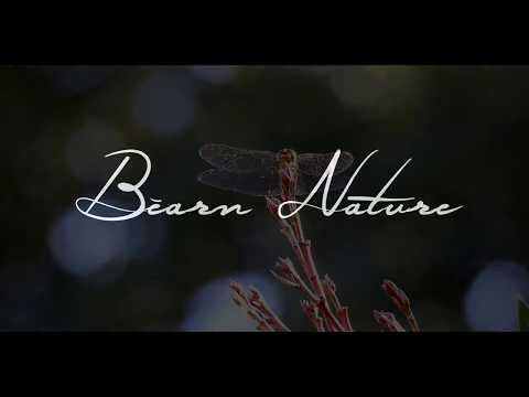 Avant la tempête HD