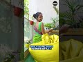 Part 50 काम में टांग मत अड़ाना Kaamwali Bai Shorts Shorts Break