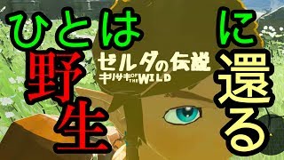 【liveテスト】ゼルダの伝説 ブレス オブ ザ ワイルドなのでワイルド（上裸）に実況プレイ/Nintendo Switch