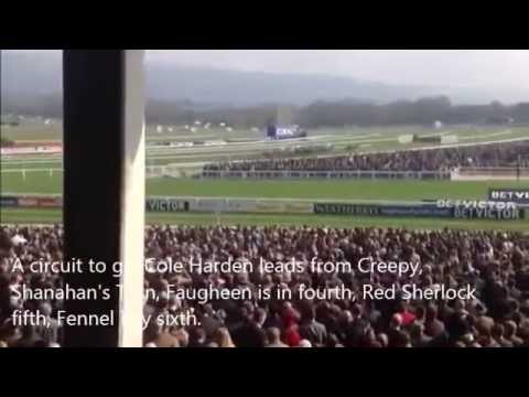 Faugheen the Machine - Champion Hurdler.