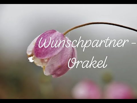 Wunschpartnerorakel vom 25.05.2020 - 07.06.2020