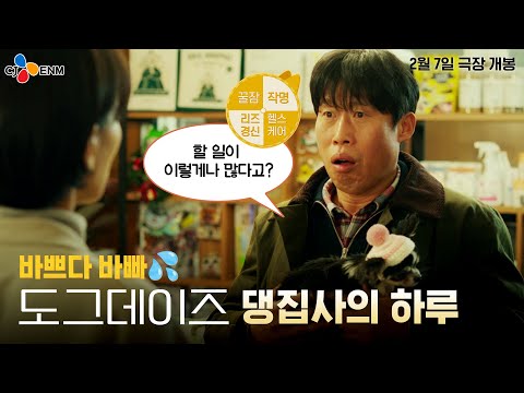 우리집 댕댕이를 위한 고군분투! [도그데이즈] 댕집사의 하루💦