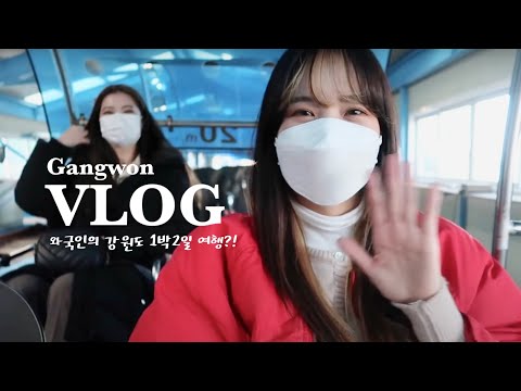 [Viagem pela Coreia] Pontos turísticos muito populares entre os coreanos 🪂Curso de viagem Gangwon-do recomendado por 2 dias e 1 noite! | Museu de arte popular, fazenda de ovelhas e local de filmagem de dokkaebi 🌊