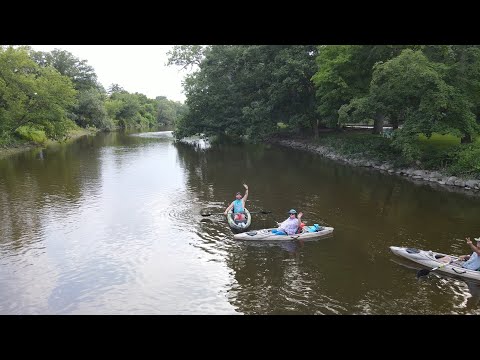 Kayaking Down the Shiawassee 2023