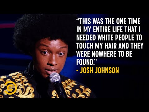 When a Bee Flies Into Your Hair - Josh Johnson